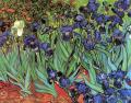 021. Van Gogh - Irises [2]